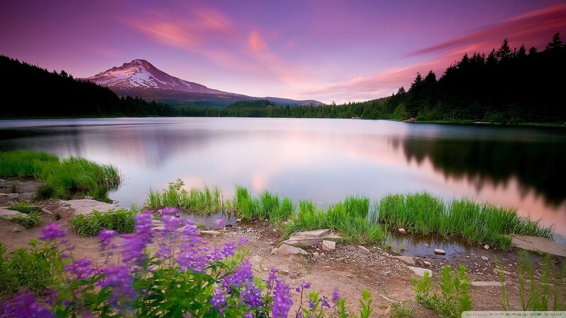 Mountain Lake at Dusk — Purple, Serene, Sunset, Photograph, Forest