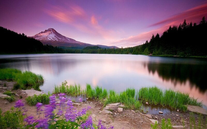 Mountain Lake at Dusk — Purple, Serene, Sunset, Photograph