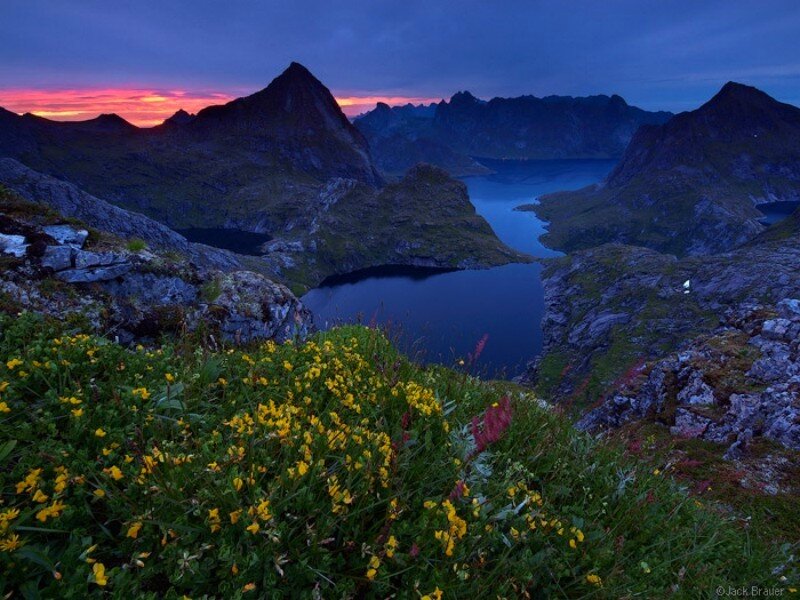 Mountain lake at dusk with wildflowers