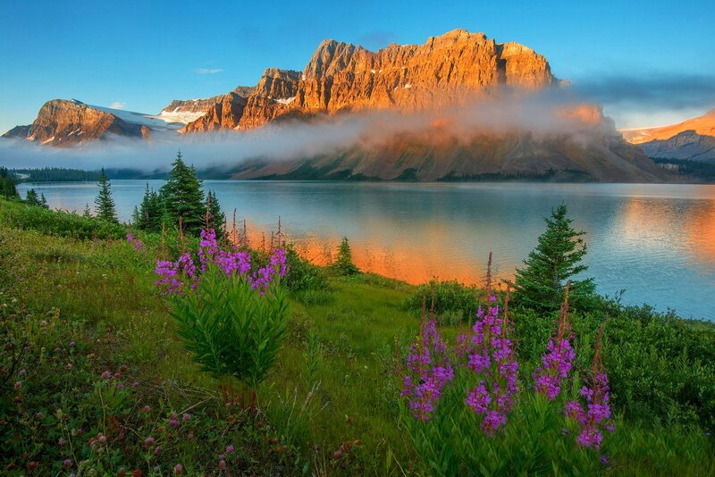 Mountain Lake at Sunrise — Blue, Serene, Photograph, Flowers
