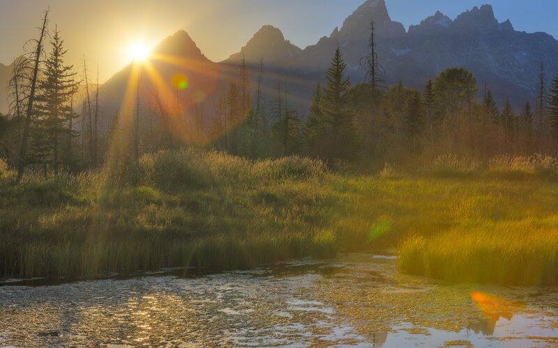 Mountain Lake at Sunrise — Yellow, Serene, Photograph, Mountains, Trees