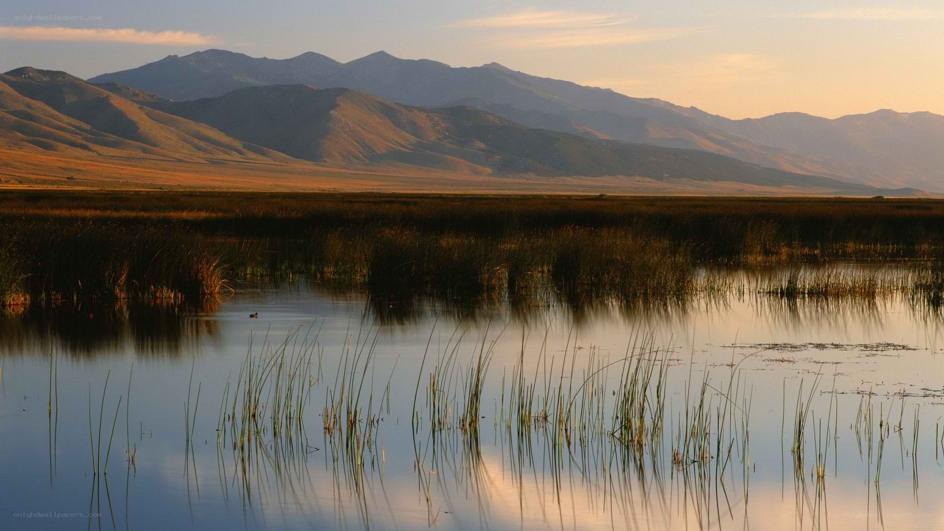 Mountain lake at sunset