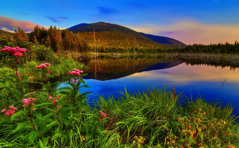 Mountain Lake at Sunset — Blue, Serene, Photograph, Flowers, Trees