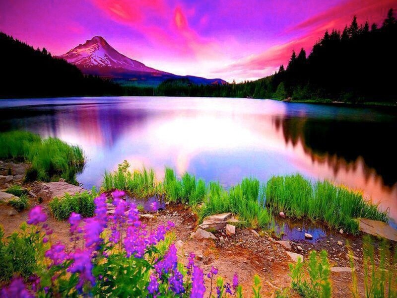 Mountain Lake at Sunset — Purple, Dramatic, Photograph, Flowers