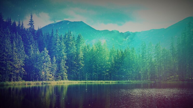 Mountain Lake Forest