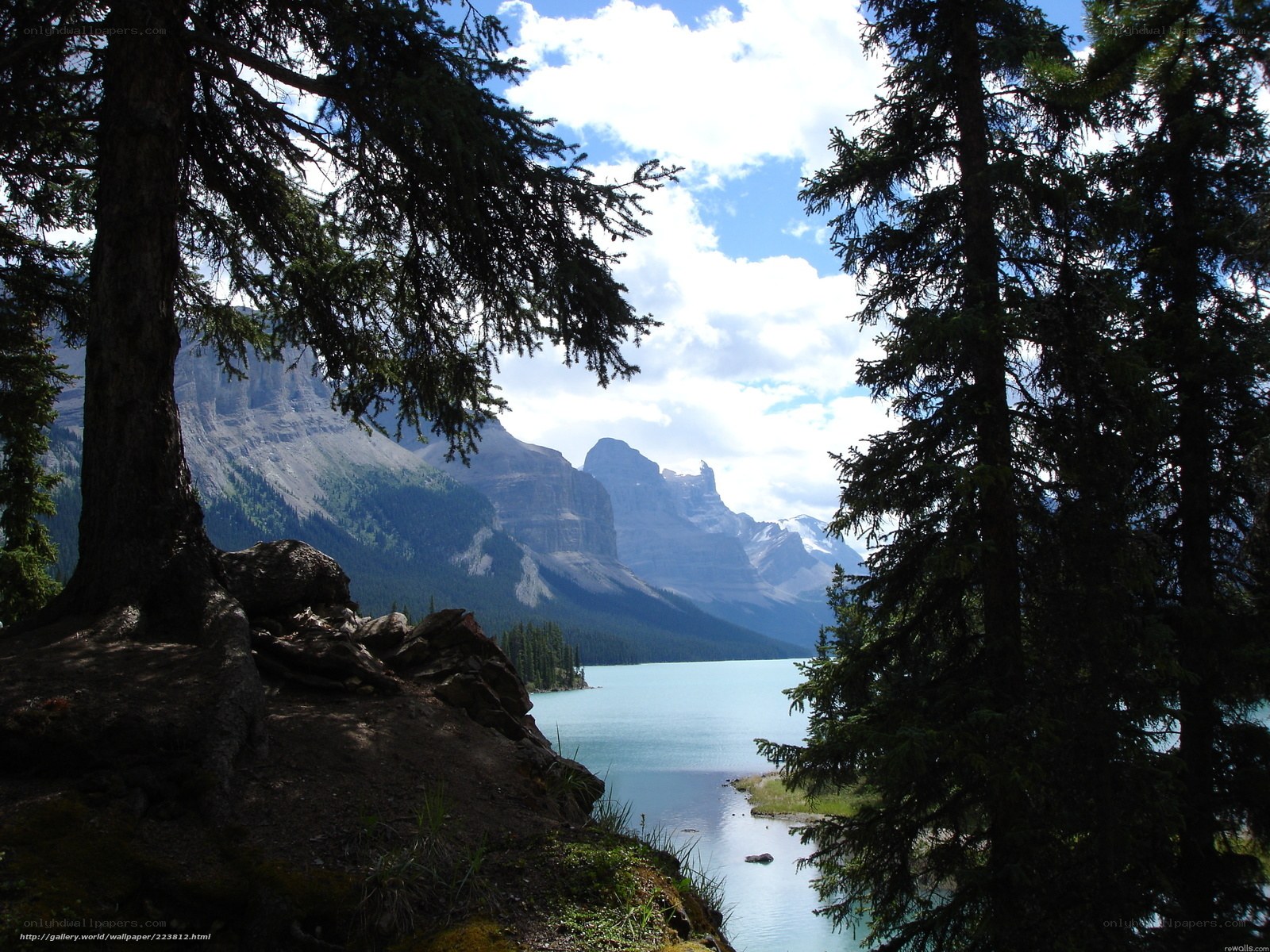 Mountain lake framed by trees