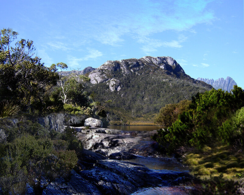 Mountain lake in a forest