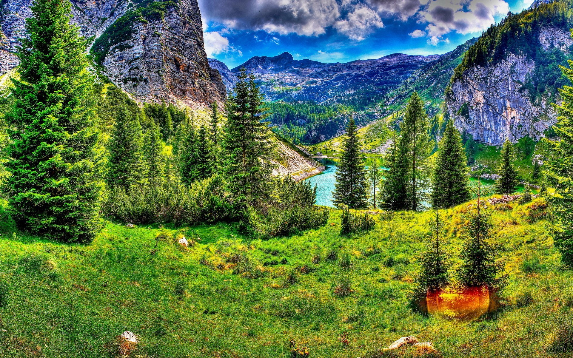 Mountain lake in a forest valley