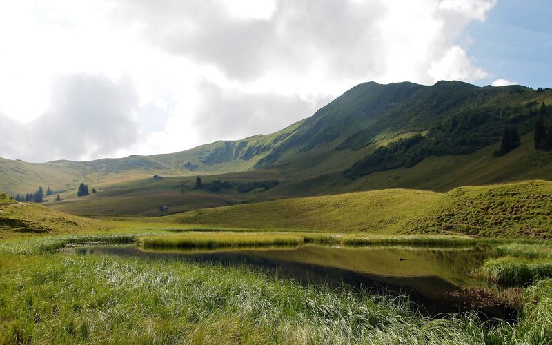 Mountain lake in a green valley