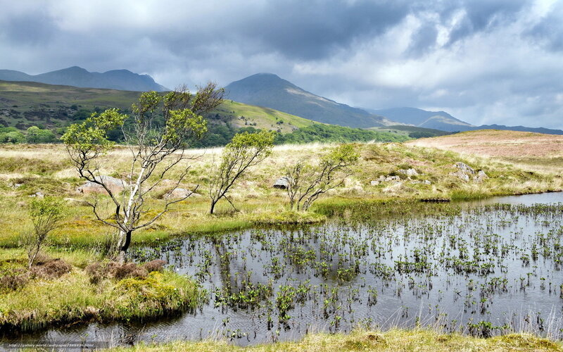 Mountain lake in a wetland