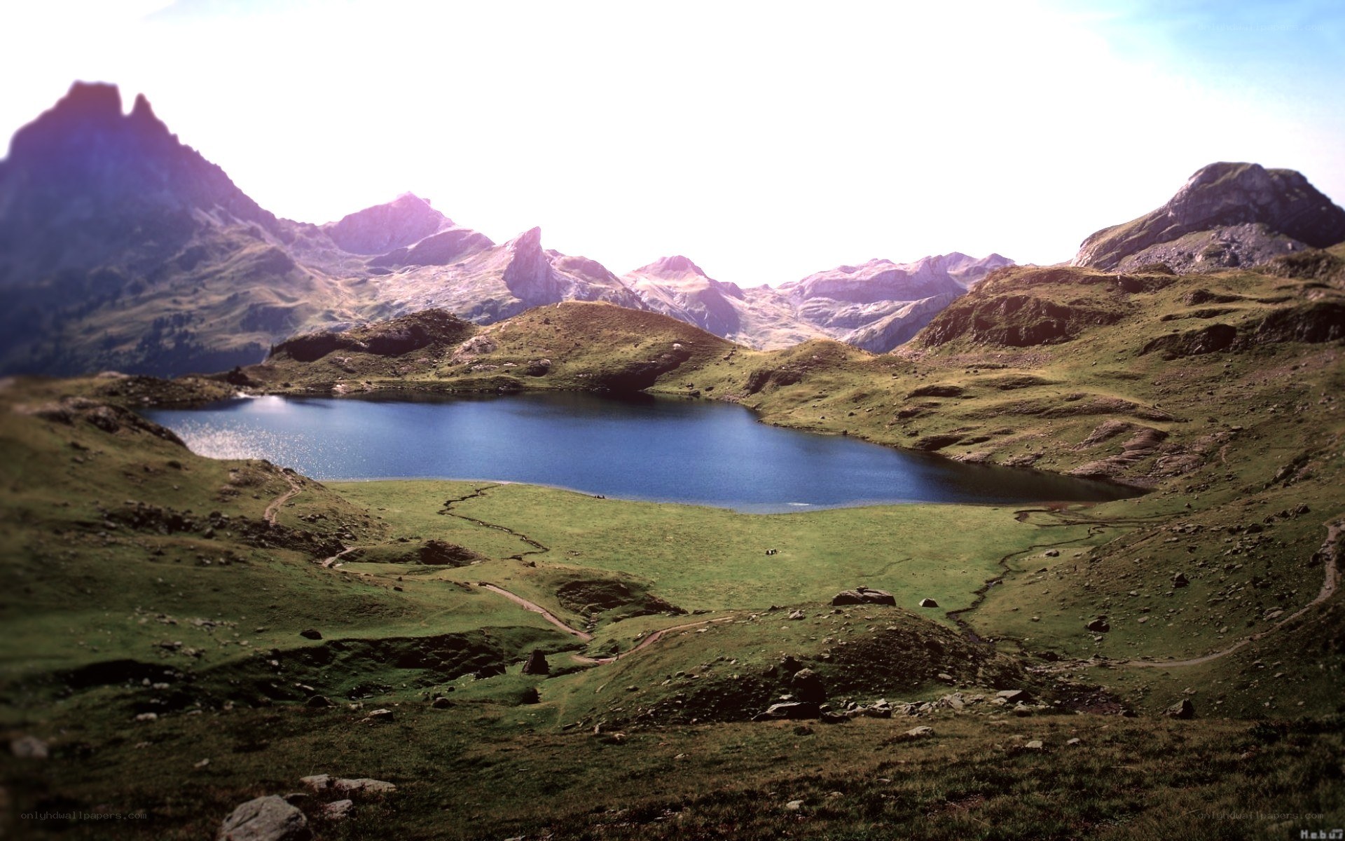 Mountain lake in alpine landscape