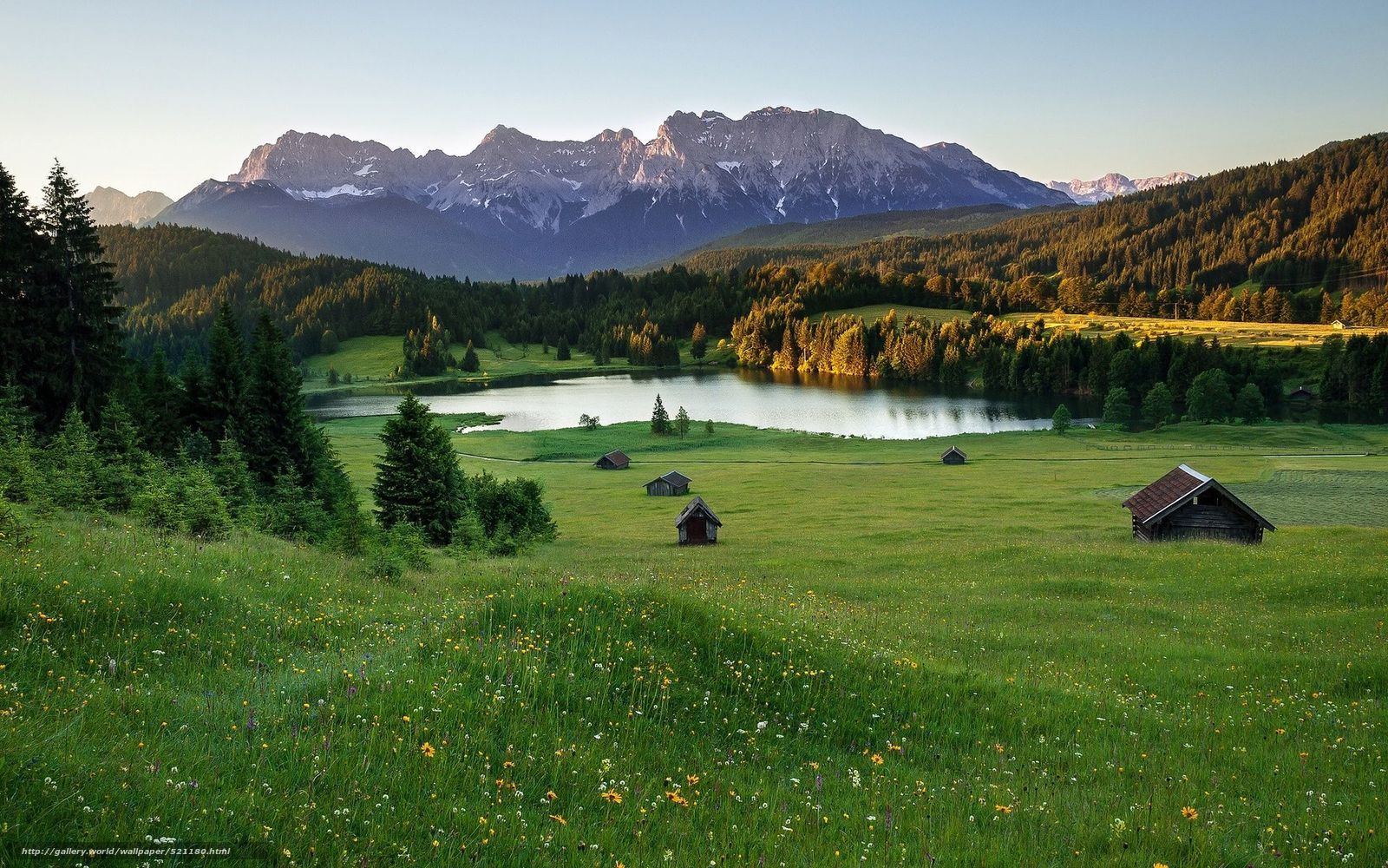 Mountain lake in alpine meadow