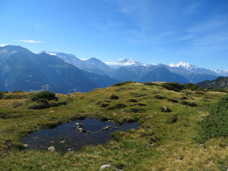 Mountain Lake in Alpine Meadow — Blue, Serene