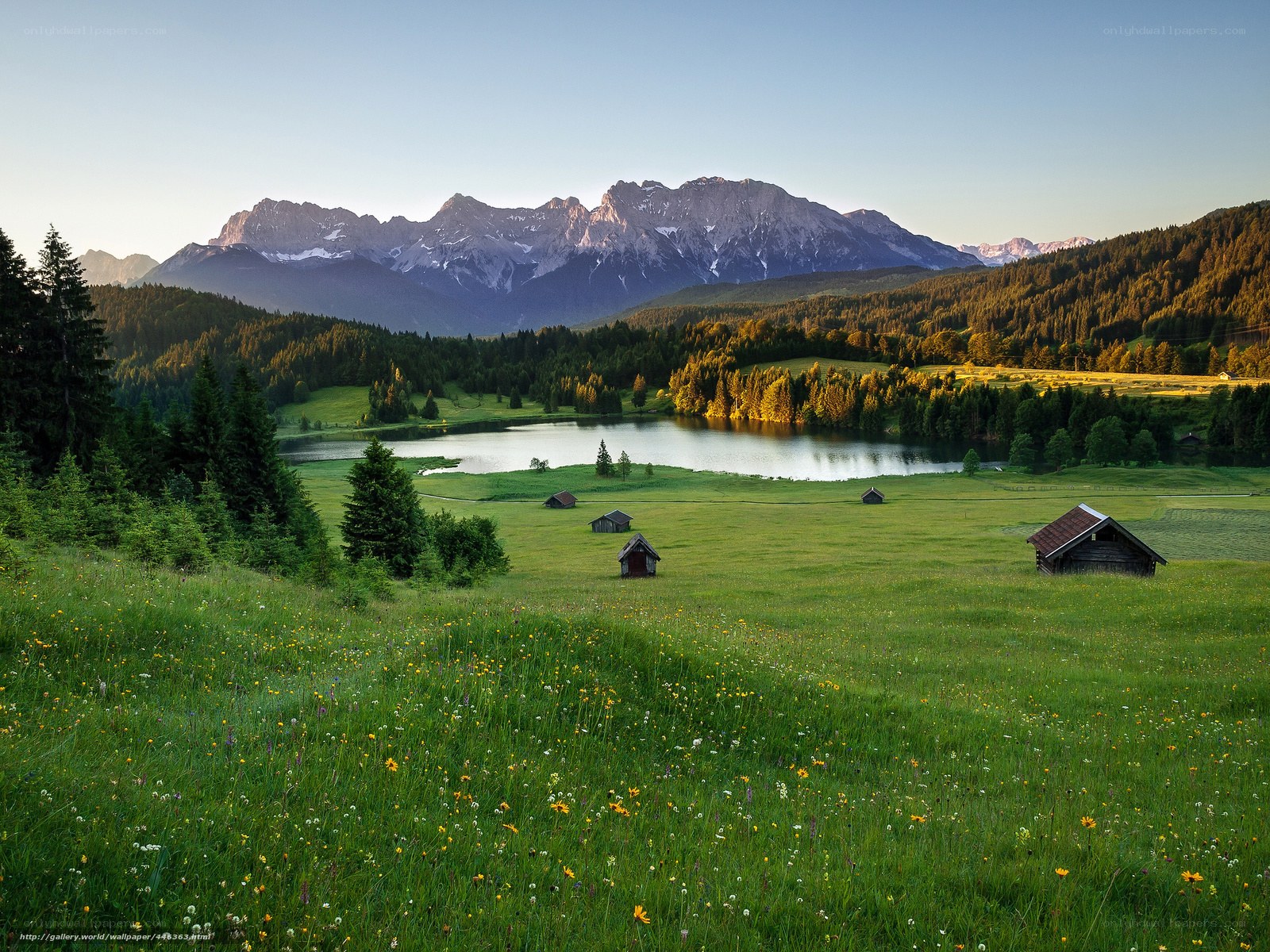 Mountain lake in alpine meadow