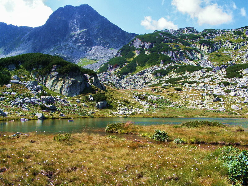 Mountain Lake in Alpine Zone