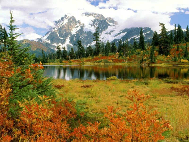 Mountain Lake in Autumn — Green, Serene, Photograph, Snow-capped Mountain, Forest, Autumn Foliage, Orange
