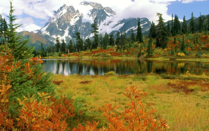 Mountain Lake in Autumn — Green, Serene
