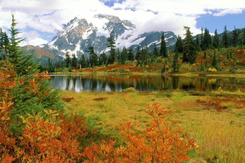 Mountain Lake in Autumn — Green