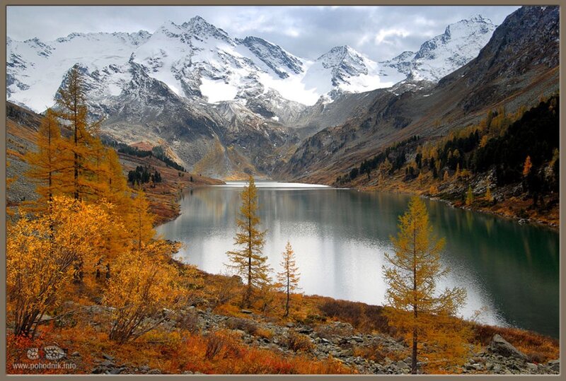 Mountain Lake in Autumn — Yellow