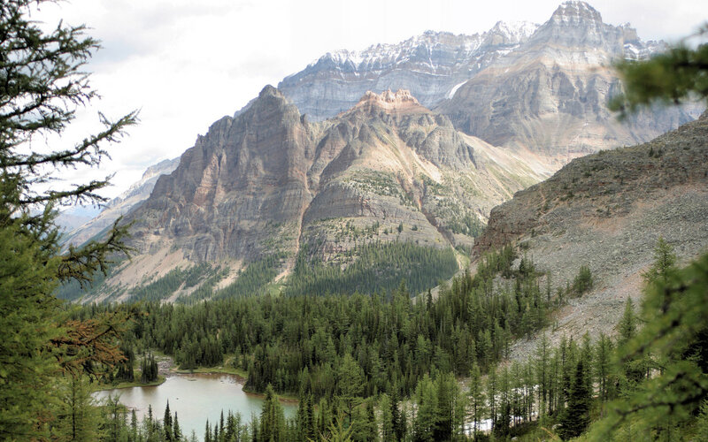 mountain lake in forest