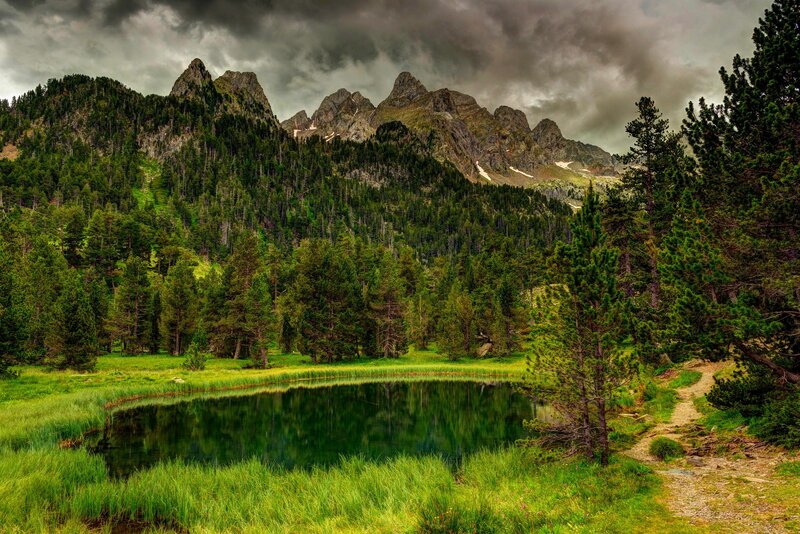 Mountain Lake in Forest — Green, Dramatic
