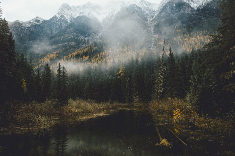 Mountain Lake in Forest — Green, Misty