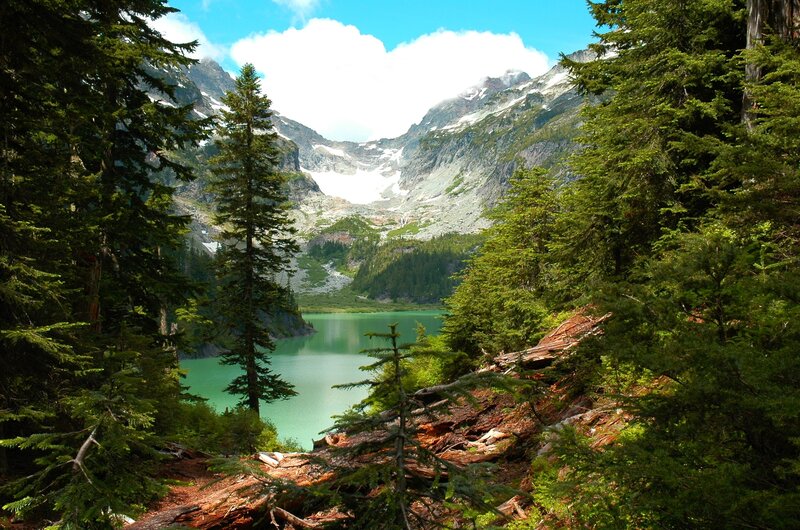 Mountain Lake in Forest — Green, Serene, Afternoon, Photograph, Trees