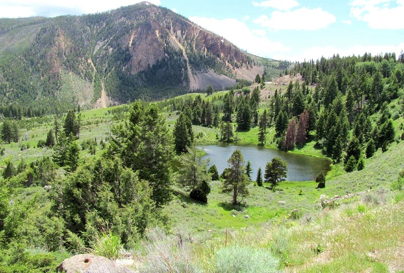 Mountain Lake in Forest — Green, Serene, Afternoon