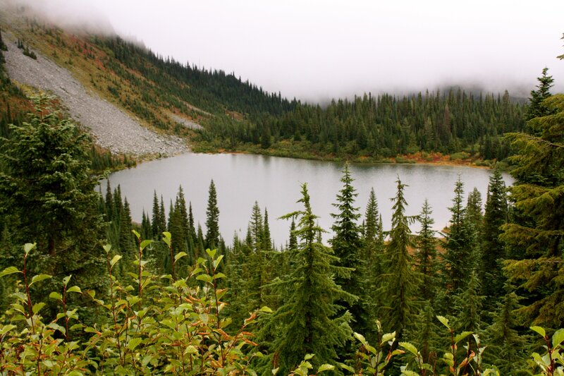 Mountain Lake in Forest — Green, Serene, Morning, Photograph
