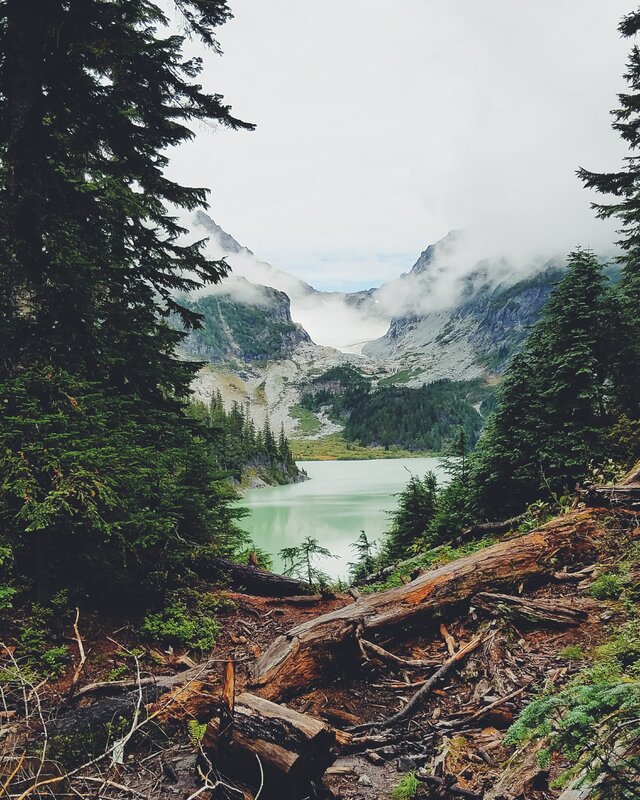 Mountain Lake in Forest — Green, Serene, Morning
