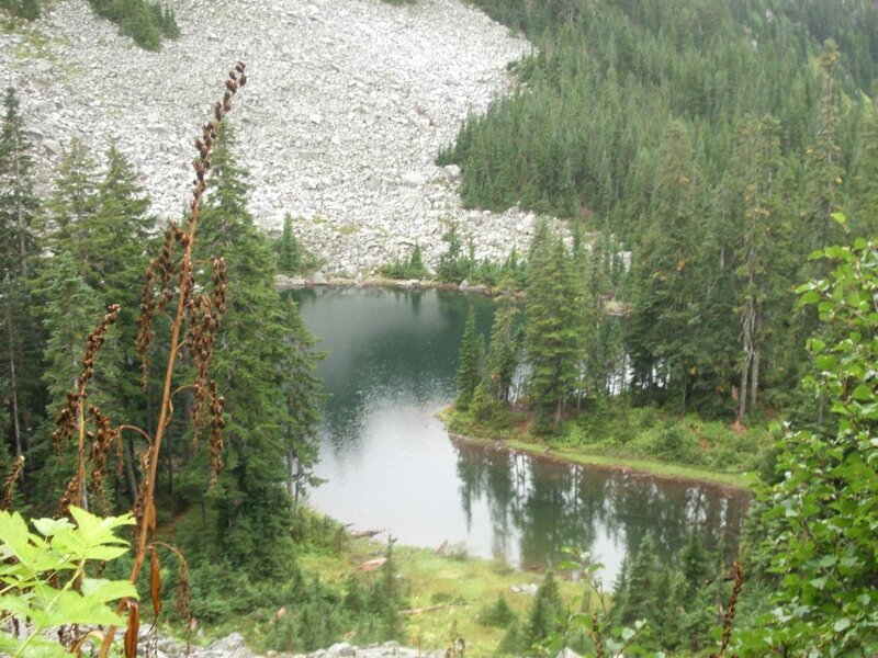 Mountain Lake in Forest — Green