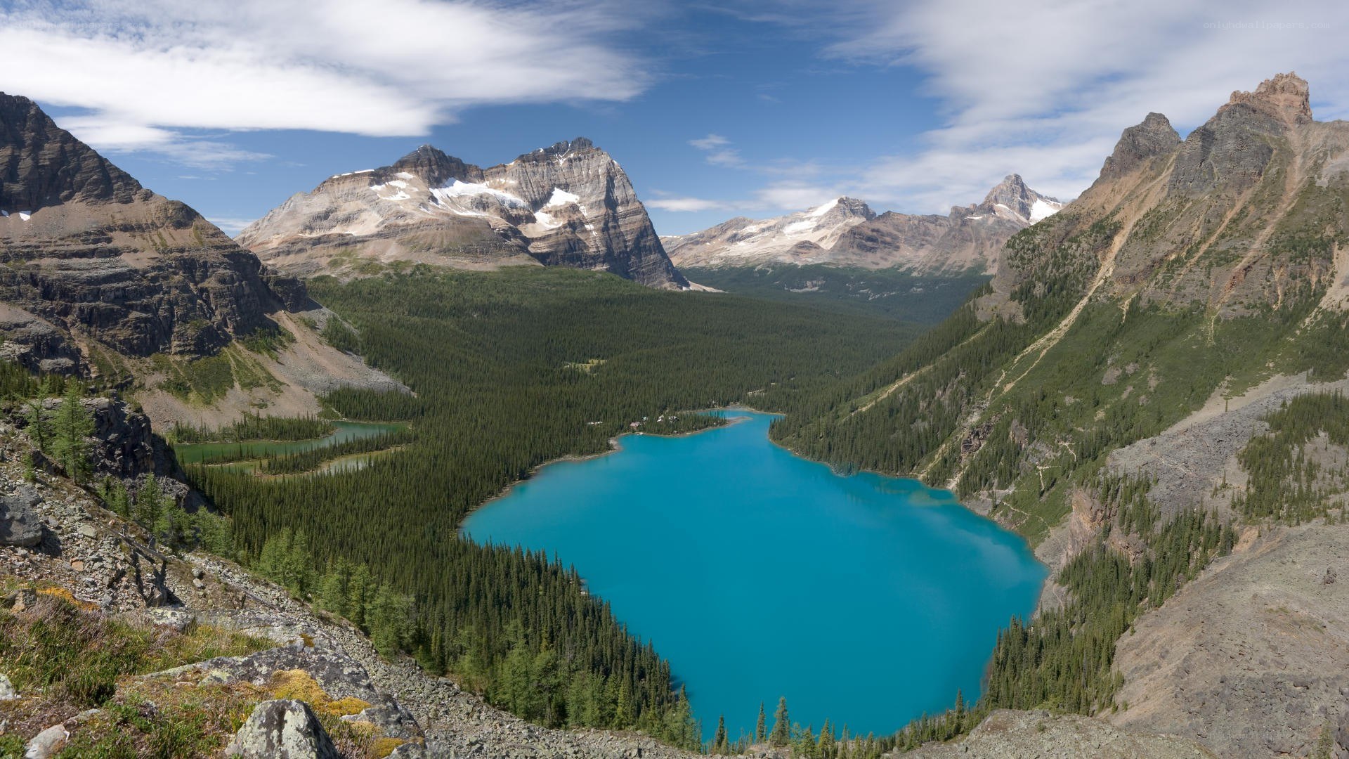 Mountain lake in forest valley