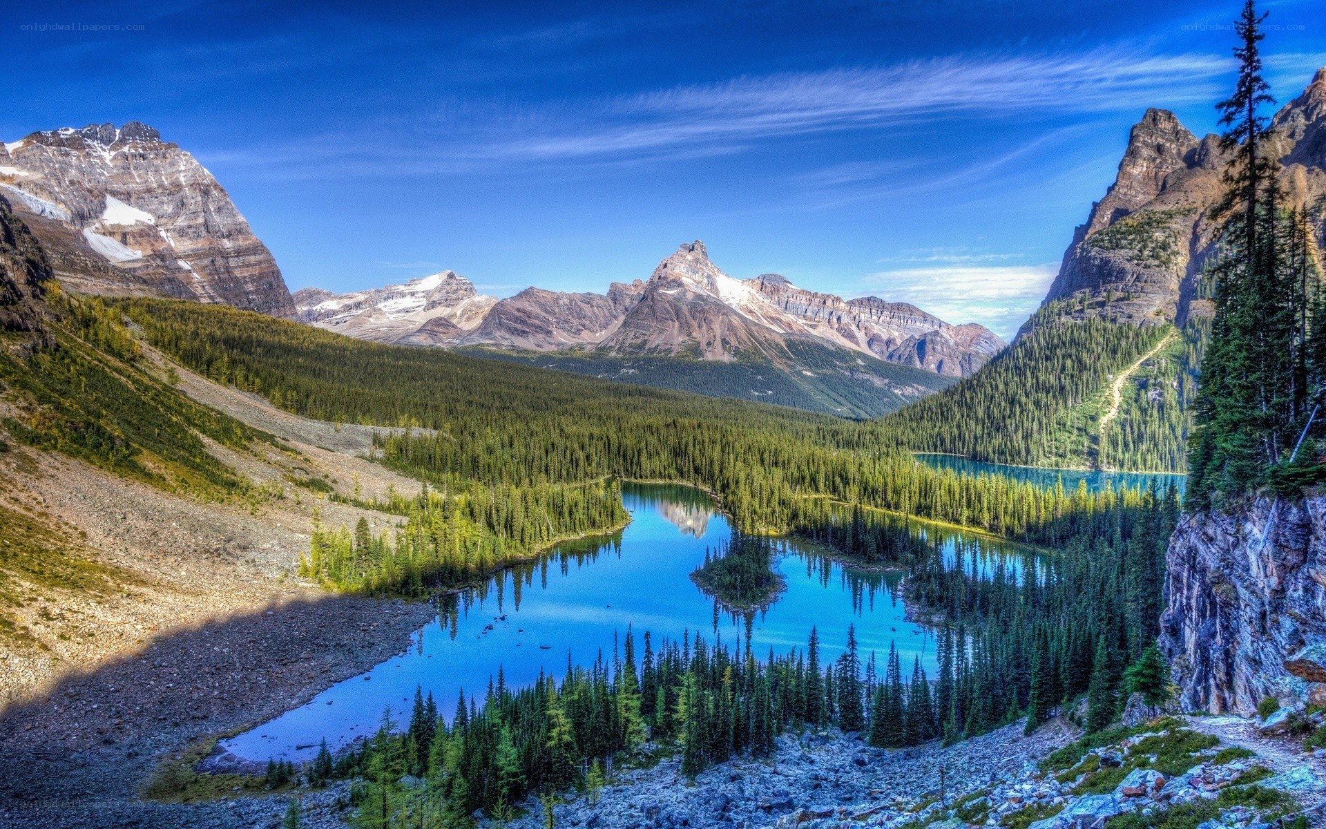 Mountain lake in forest valley