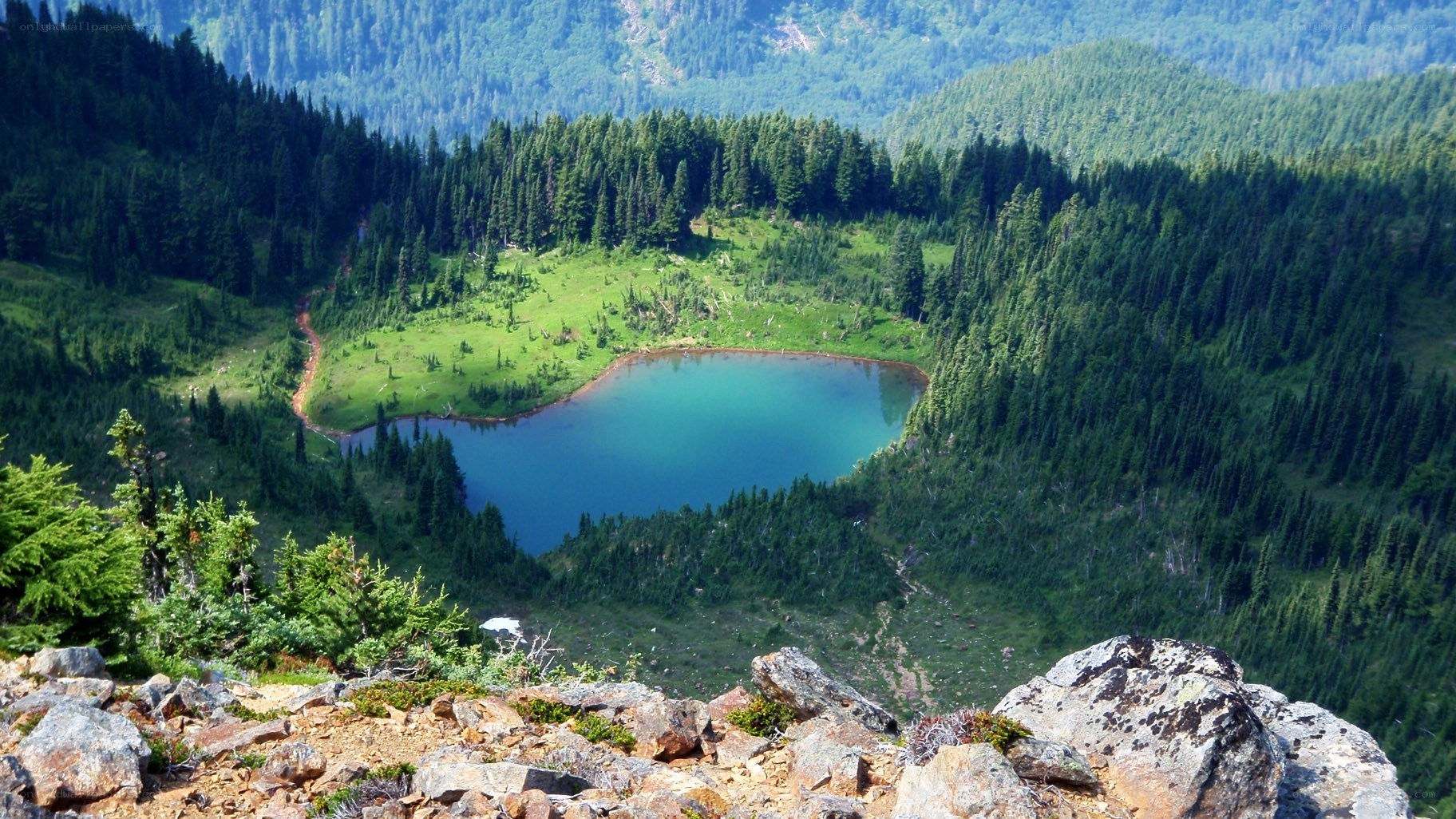 Mountain lake in forest valley