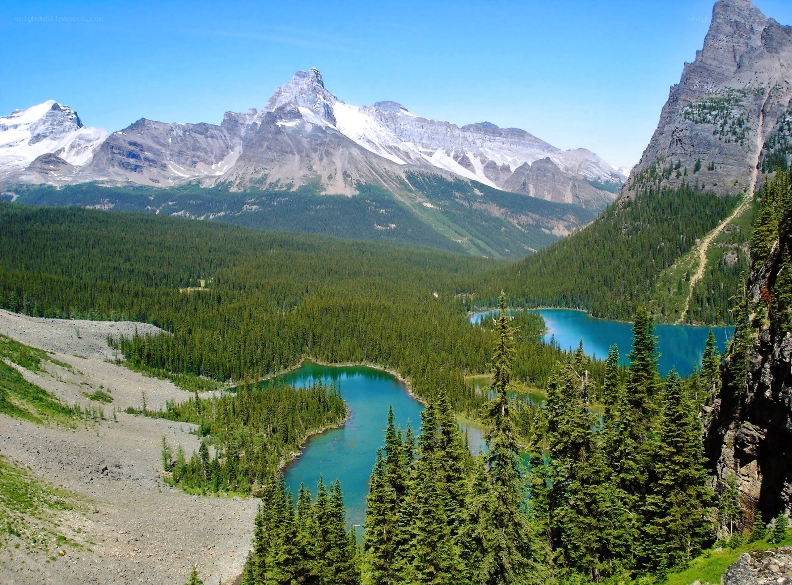 Mountain lake in forest valley