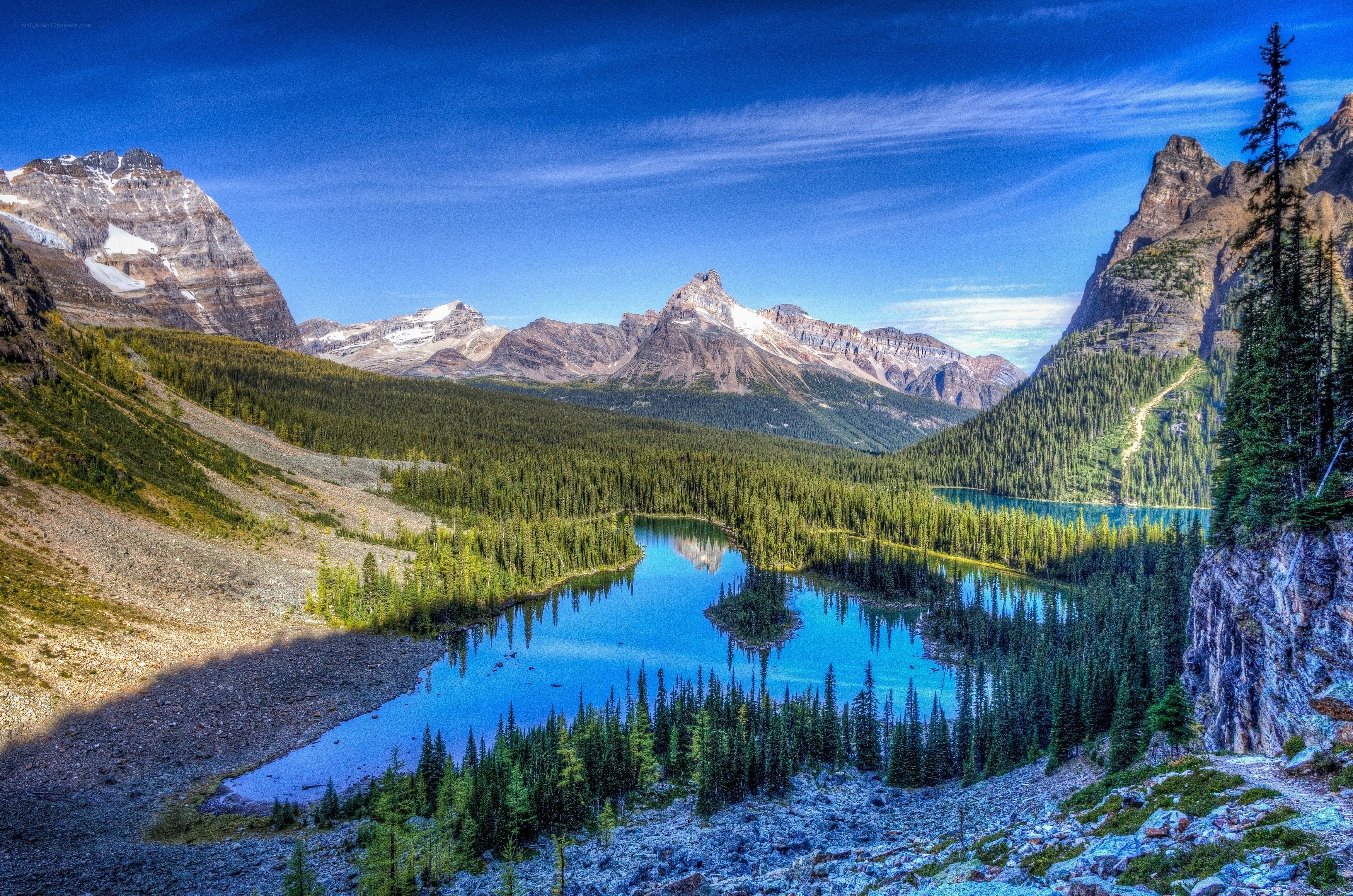 Mountain lake in forest valley