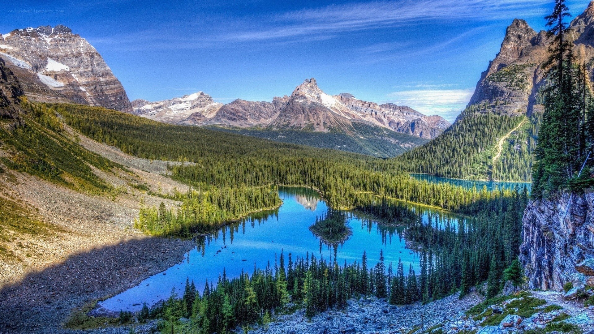 Mountain lake in forest valley