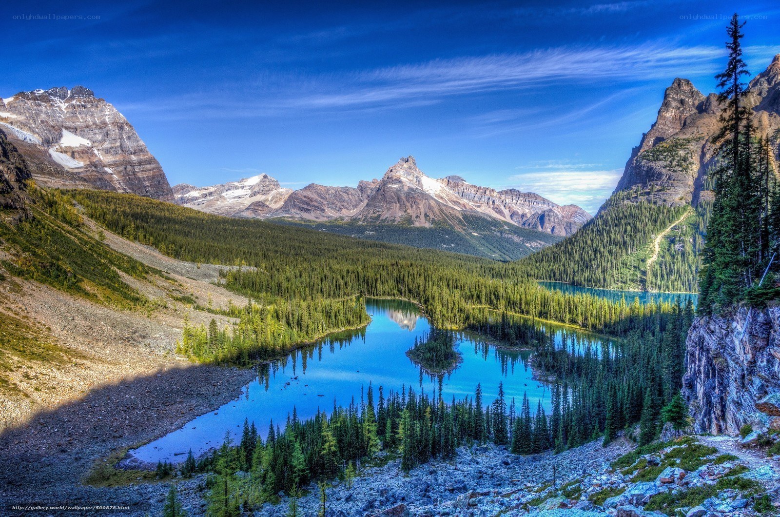 Mountain lake in forest valley