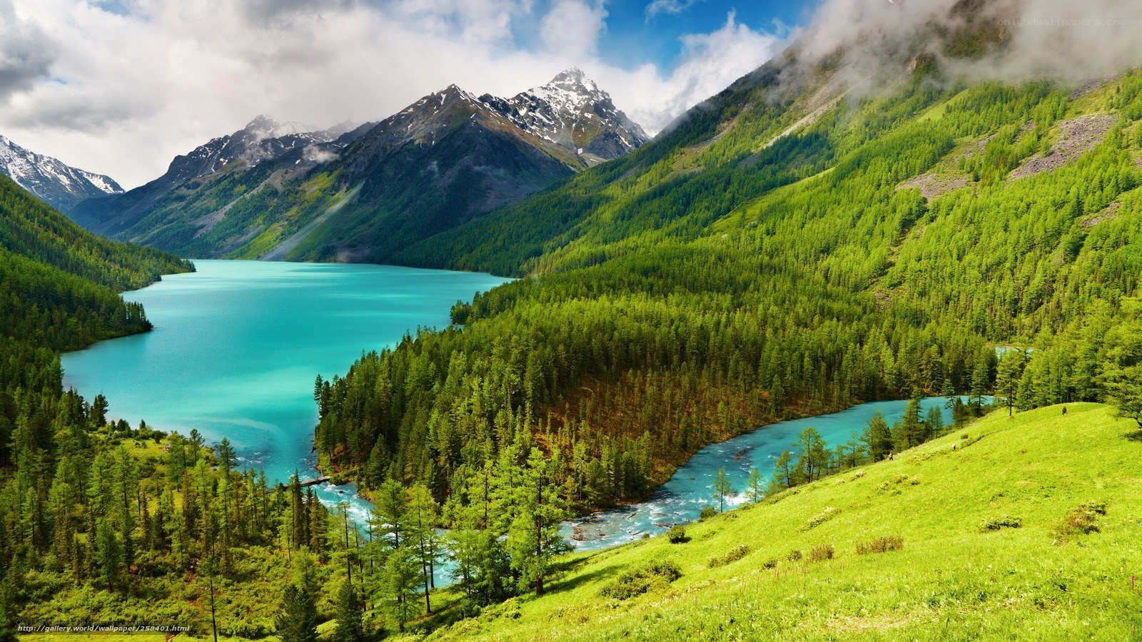 Mountain lake in forest valley