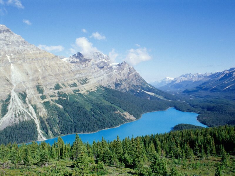 Mountain lake in forested valley