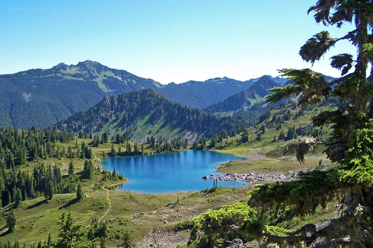 Mountain lake in forested valley