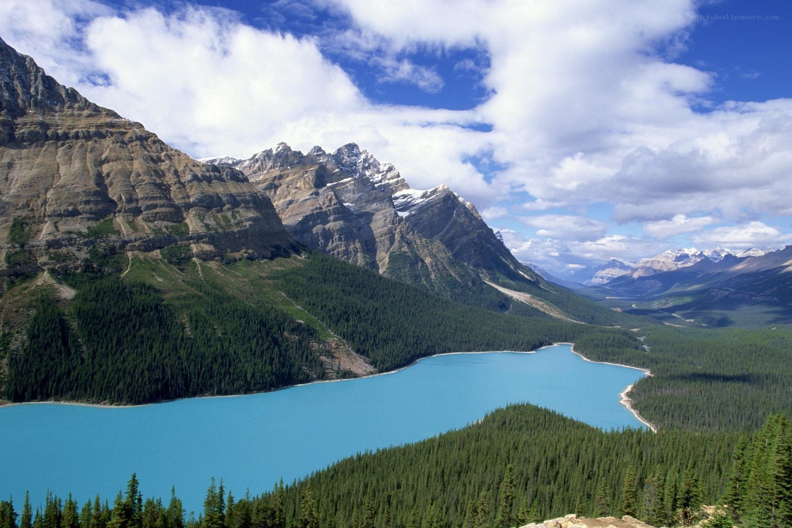 Mountain lake in forested valley