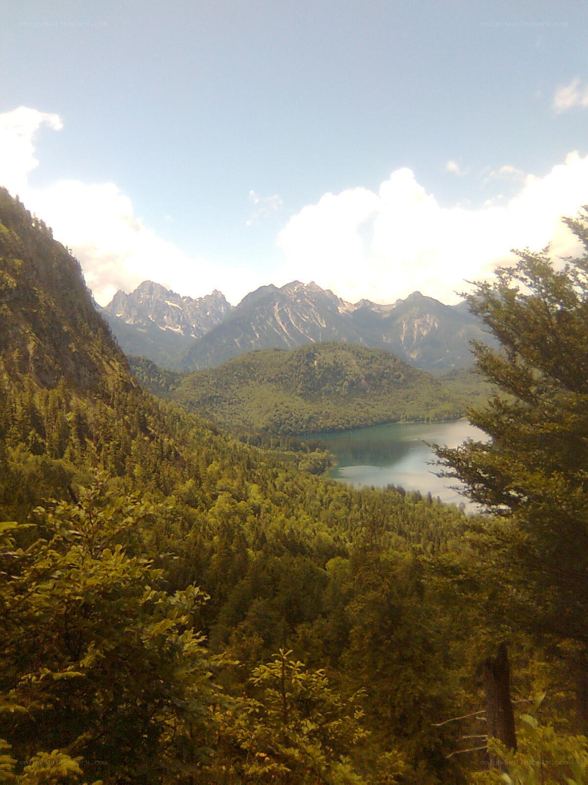 Mountain lake in forested valley