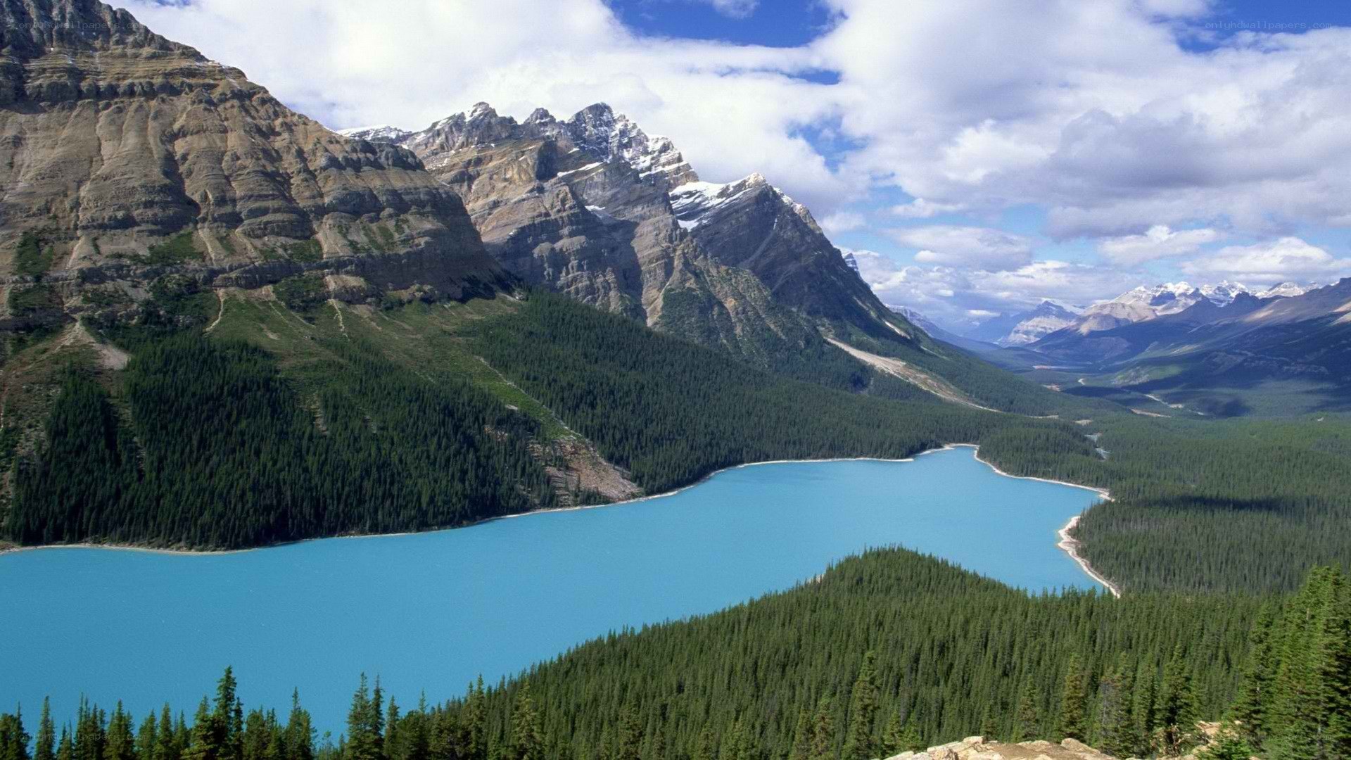 Mountain lake in forested valley