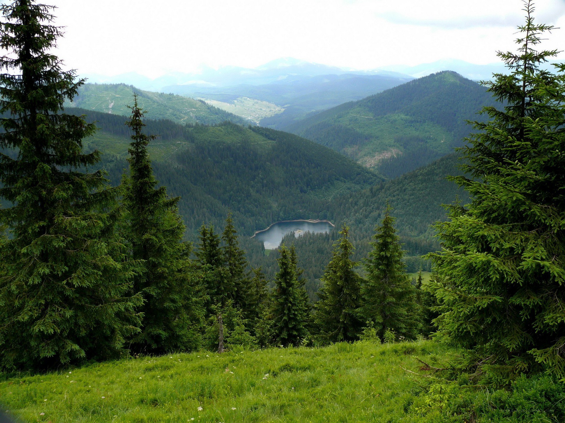 Mountain lake in forested valley