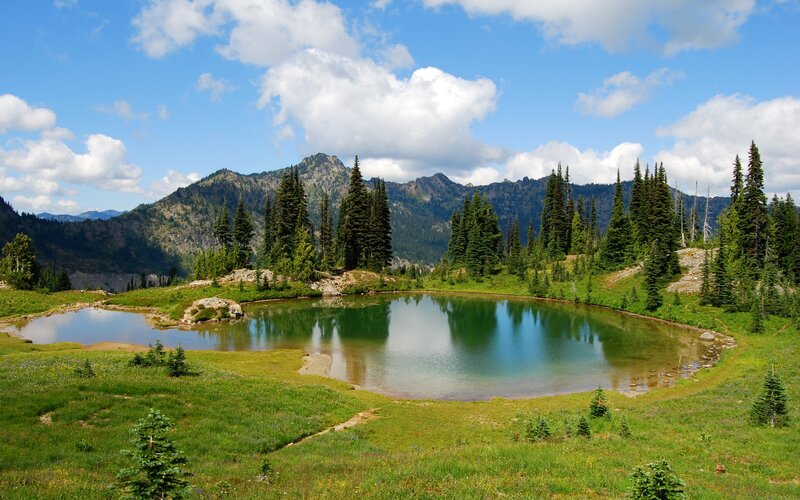 Mountain Lake in Meadow — Green, Serene, Afternoon, Photograph