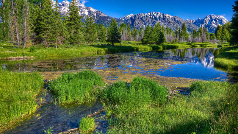 Mountain Lake in Meadow — Green, Serene, Afternoon