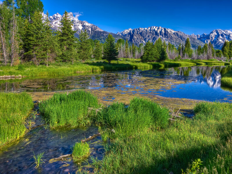 Mountain Lake in Meadow — Green, Serene