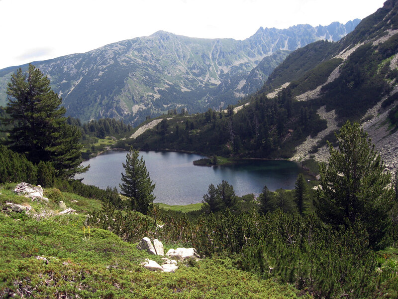Mountain Lake in Valley — Green, Serene, Afternoon, Photograph, Trees