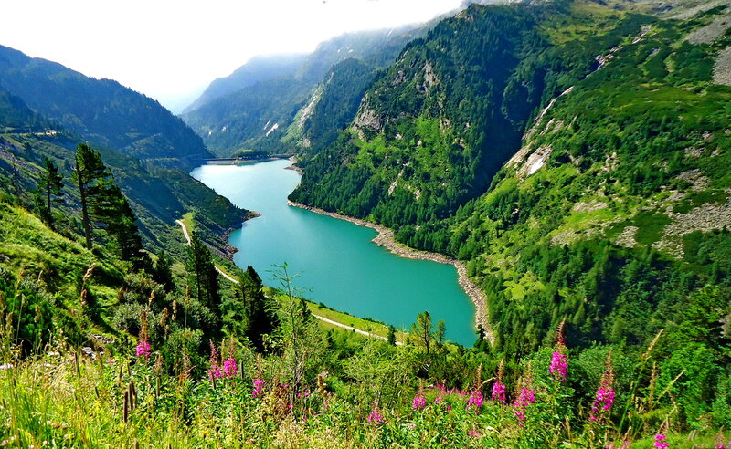 Mountain Lake in Valley — Green, Serene, Summer, Photograph